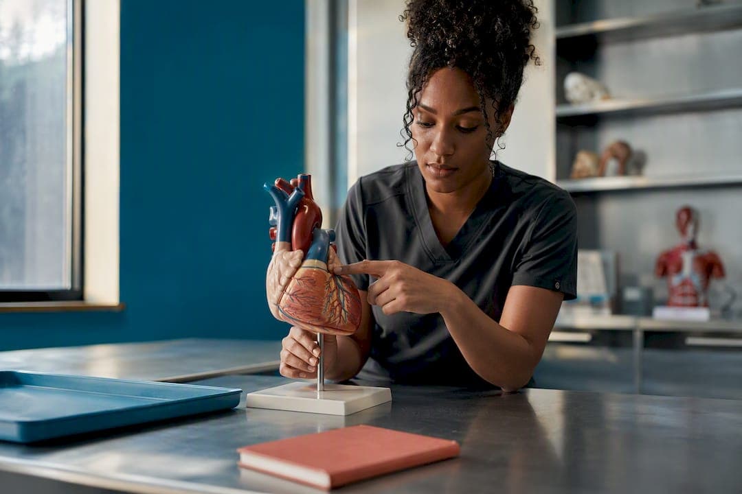 Prioritize the 18 A&P Questions on TEAS 7: 4-Week Plan for U.S. Nursing Applicants